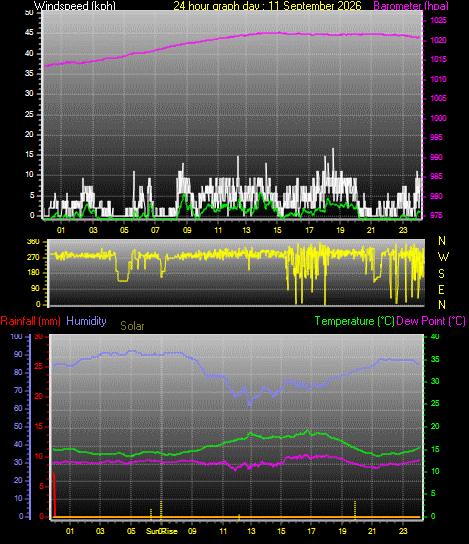 24 Hour Graph for Day 11